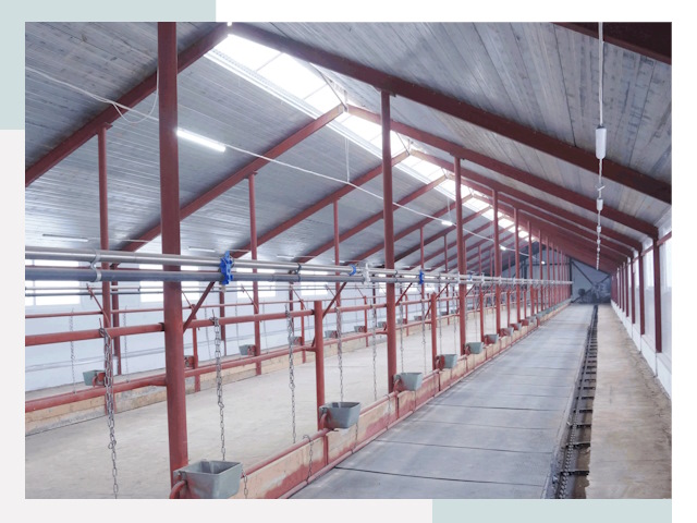 Строительство коровников в Иванове от 620 руб.