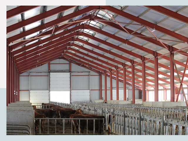 Строительство коровников в Иванове