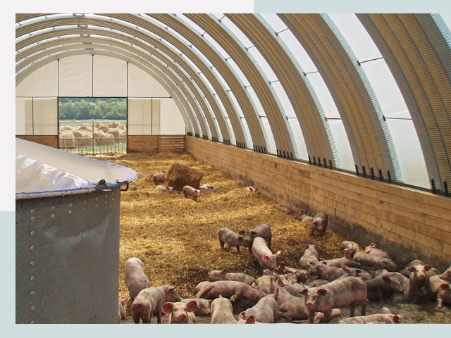 Строительство свинарников в Иванове