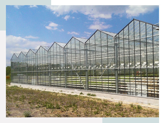 Строительство теплиц в Иваново от 620 руб. за м²