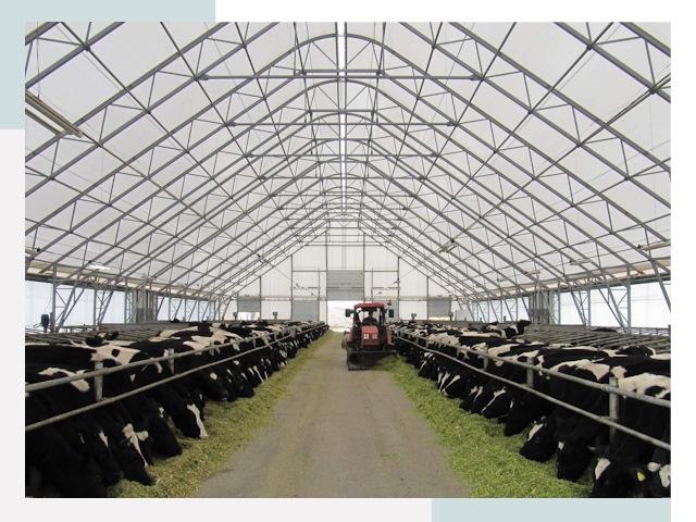 Тентовые коровники в Иванове от 620 руб. - Надежно и доступно