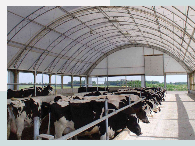 Тентовые коровники в Иванове